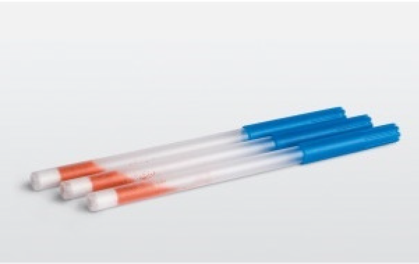 GA黄金甲(中国游)最新官方网站