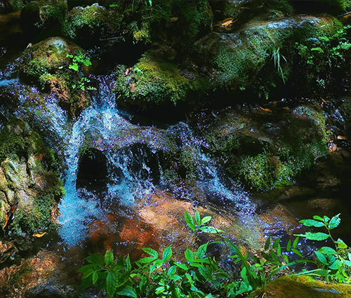 GA黄金甲(中国游)最新官方网站